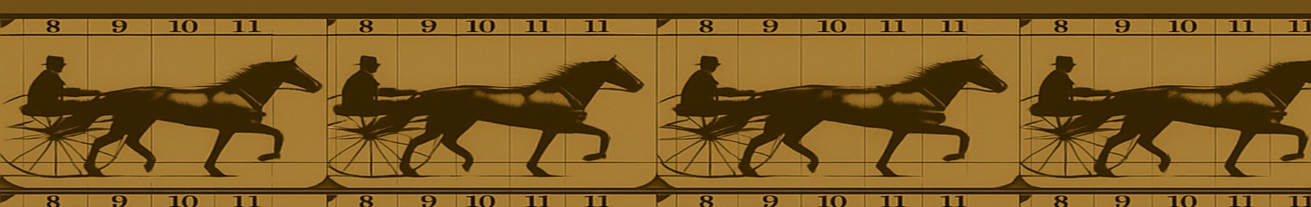 Caballo trotando / Horse Trotting (1881)