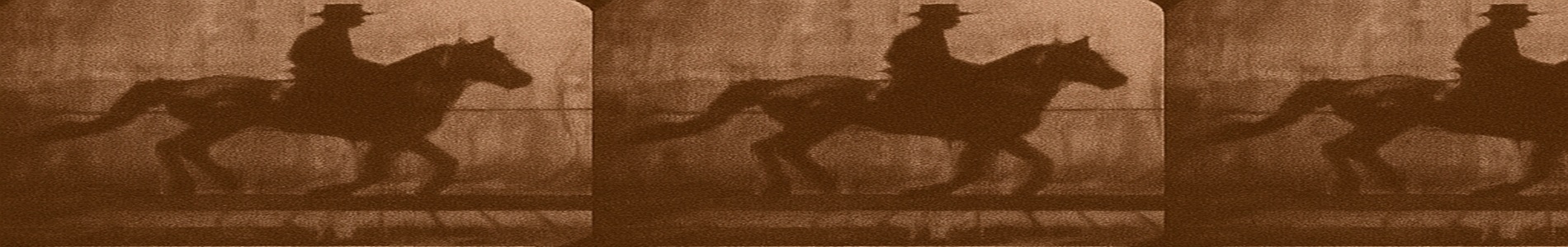 Caballos al trote (segunda secuencia) / Horses. Trotting 2 (1881)
