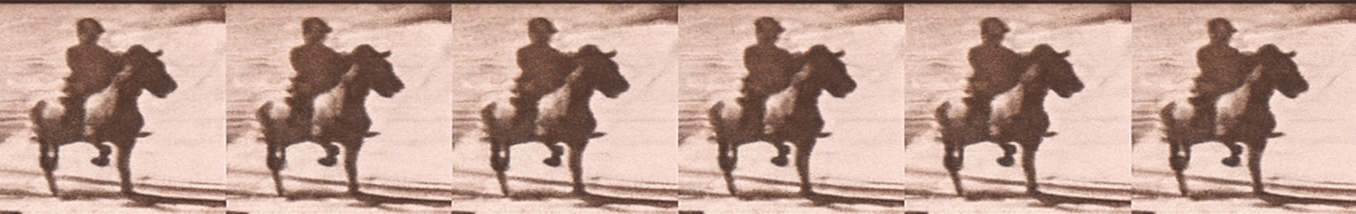 Caballos al trote (tercera secuencia) / Horses. Trotting 3 (1881)