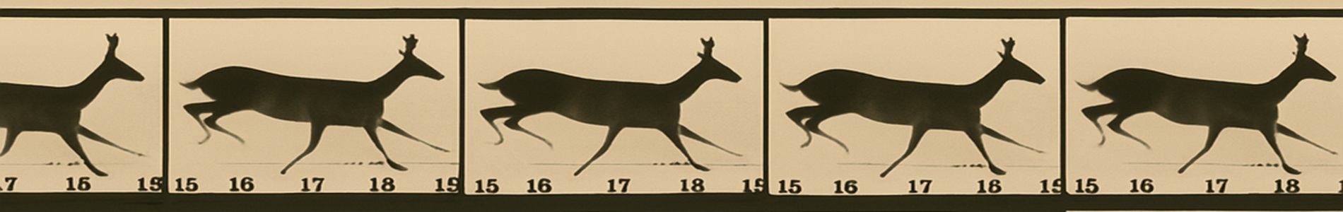 Ciervo corriendo 2 / Deer Running 2 (1881)
