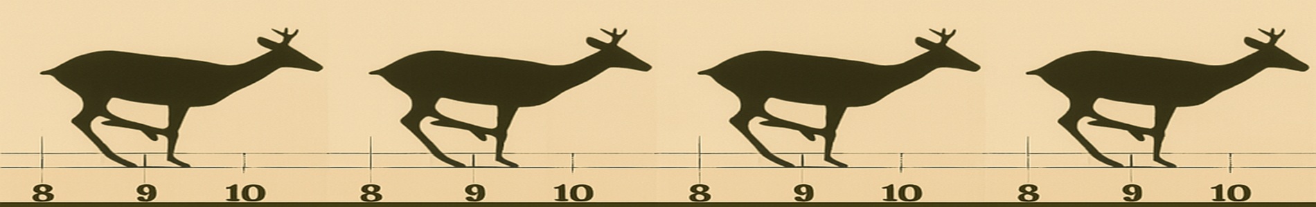 Ciervo corriendo 3 / Deer Running 3 (1881)