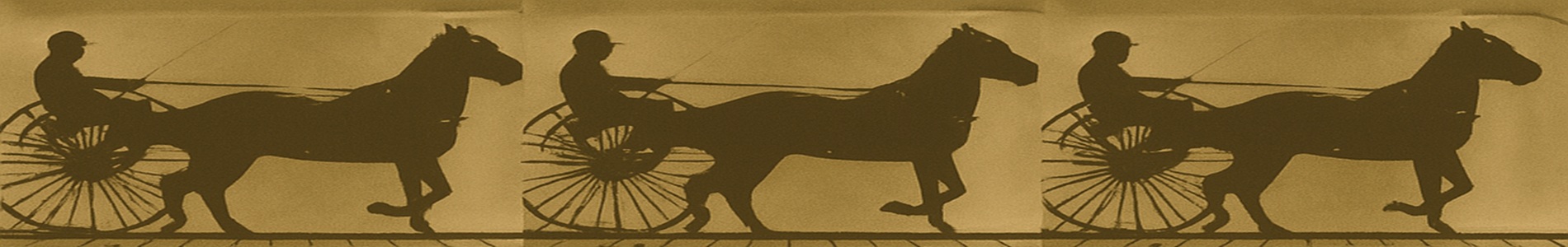 Caballos. Irregular 1 / Horses. Irregular 1 (1881)