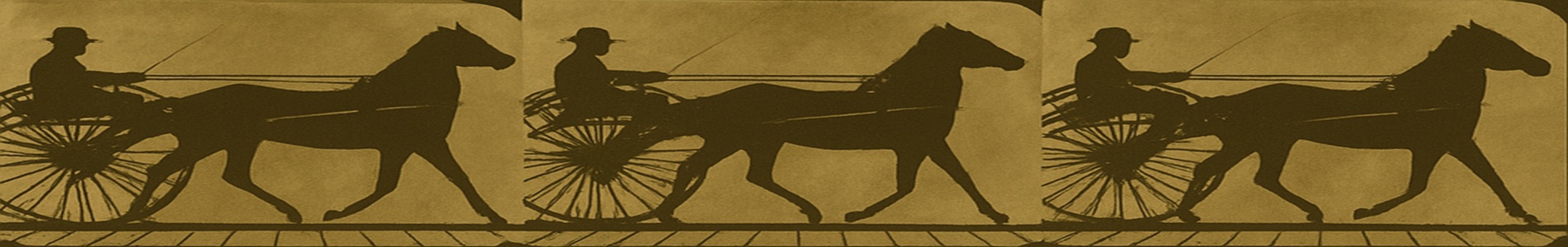 Caballos. Irregular 2 / Horses. Irregular 2 (1881)