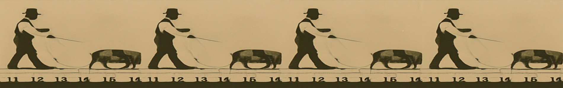 Jabalí caminando / Boar Walking (1881)