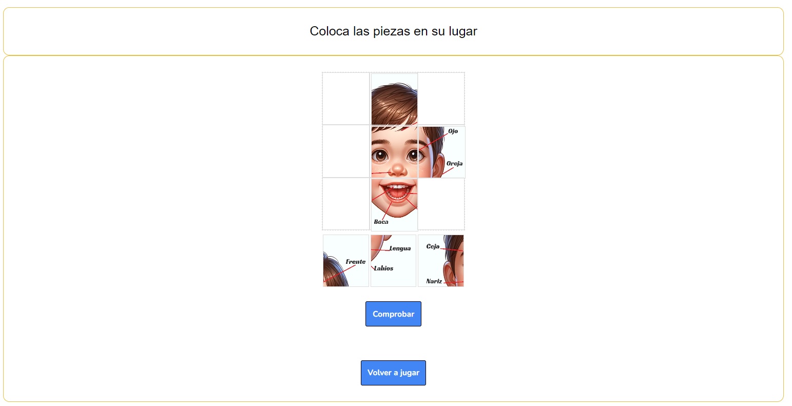 Puzzle de las partes básicas de la Cara